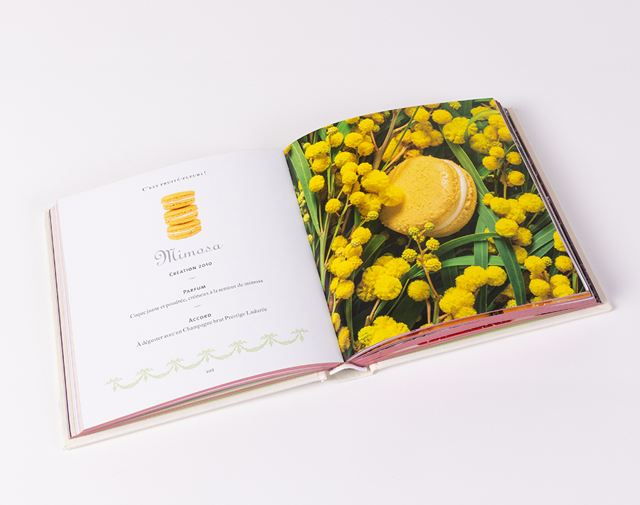 Livre Macarons Ladurée