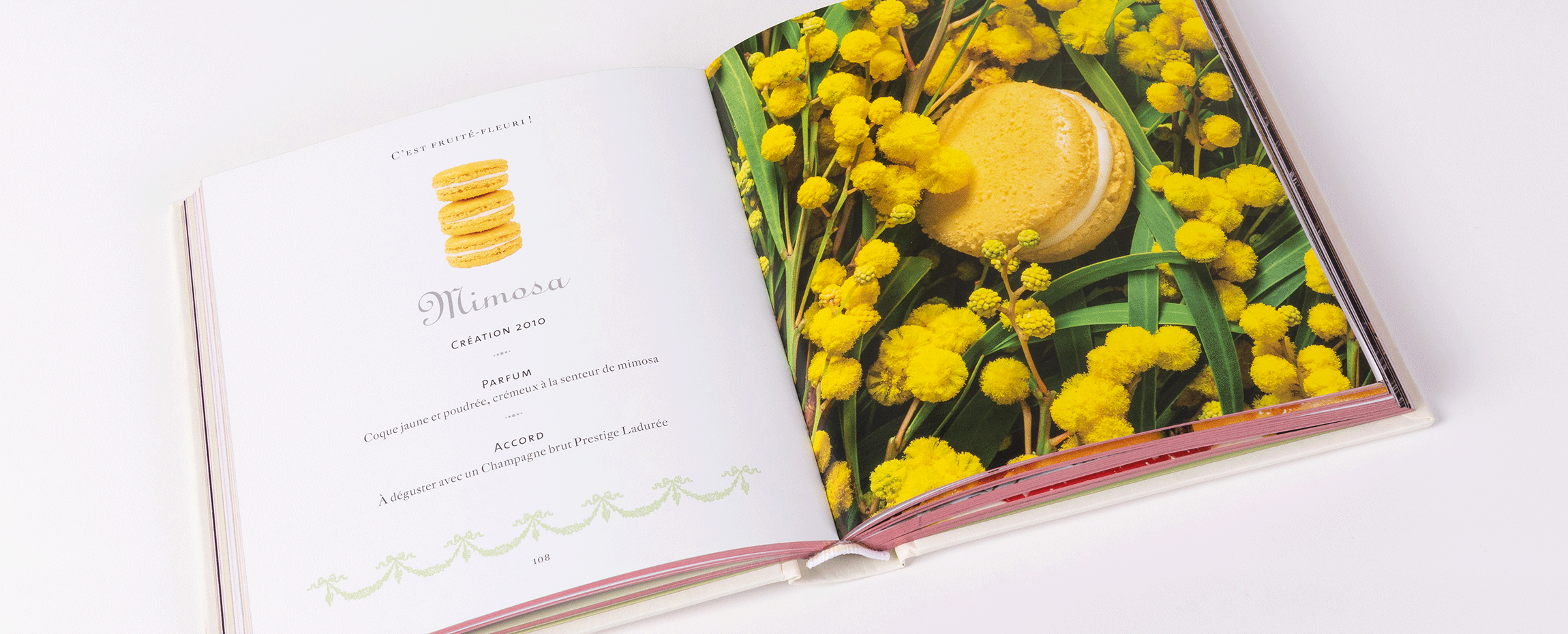 Free "macaron" book for all home orders over 70€