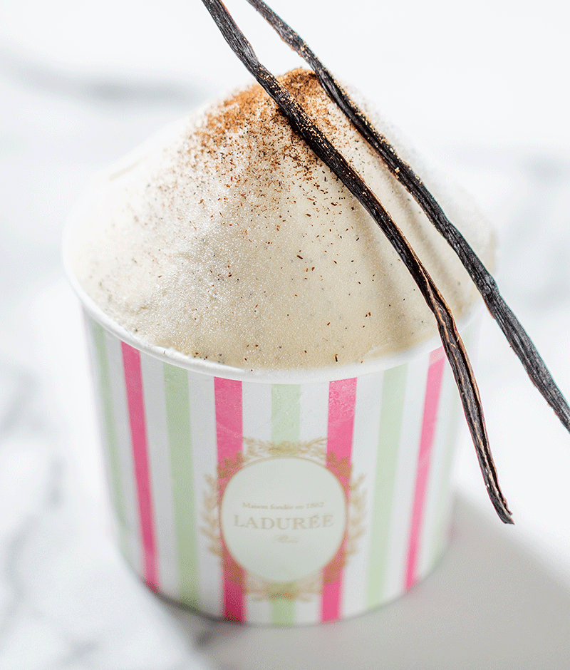 Découvrez notre délicieuse glace à vanille de Madagascar. Crédits photo : Pierre Monetta.