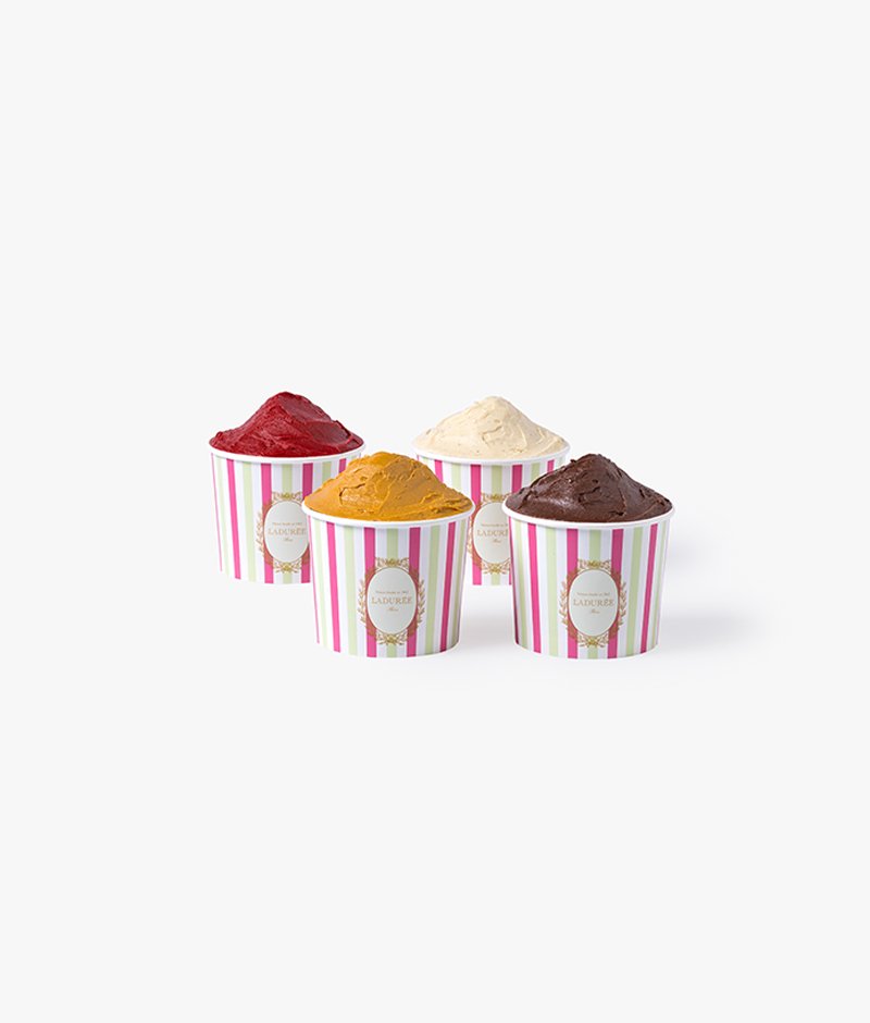 Discover our assortment of 4 ice cream and sorbet flavors: vanilla, chocolate, raspberry and caramel.