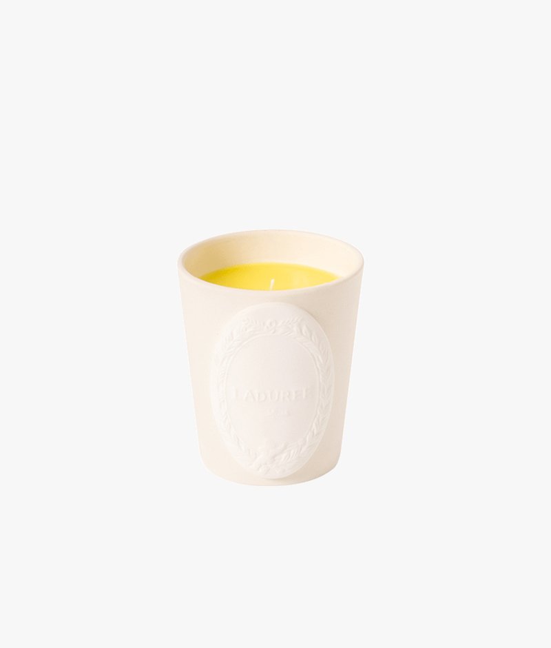 Discover the candle resulting from the collaboration with Casa Lopez, with notes of mimosa.